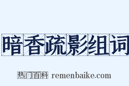 暗香疏影组词是什么意思的图片